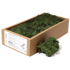 Hochwertiges Dekoration Islandmoos - Grasgrün - 635g Box