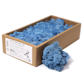 Hochwertige Dekoration Islandmoos - Blau - 635g Box