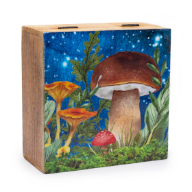 Große quadratische Box 15x17.5x8cm - Pilz Design, Blaugrün